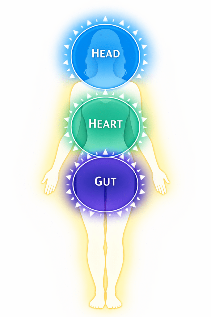 Illustration of a human figure divided into three sections labeled 'Head,' 'Heart,' and 'Gut,' each surrounded by a colorful aura.